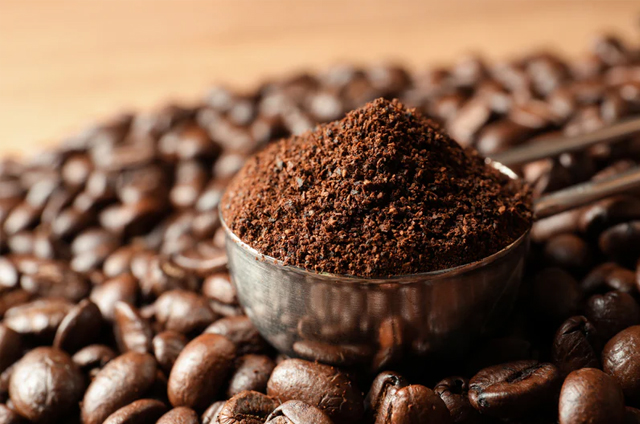 Coffee Bean