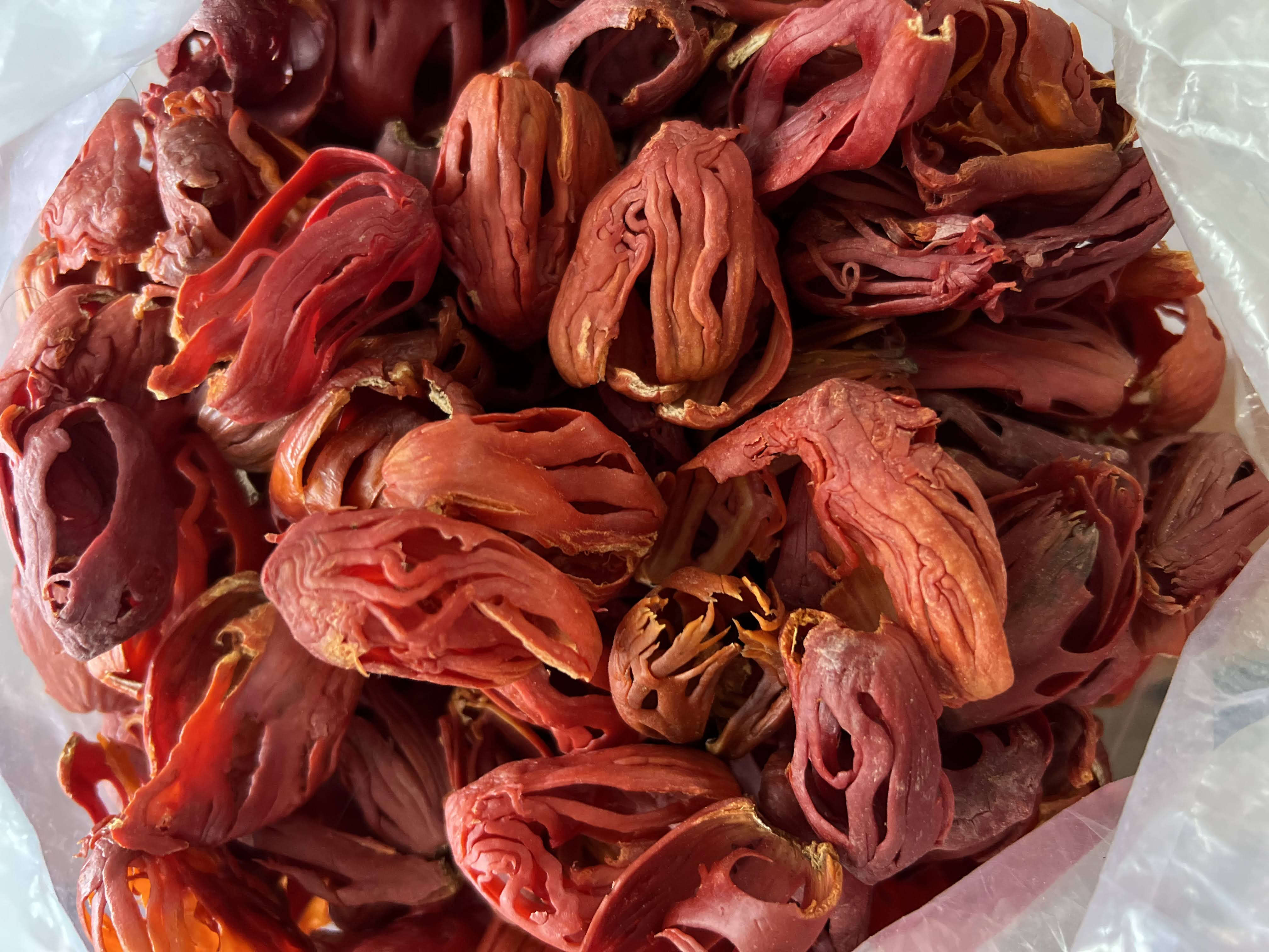 Japatri | Nutmeg Mace Whole - Handpicked Kerala Spice